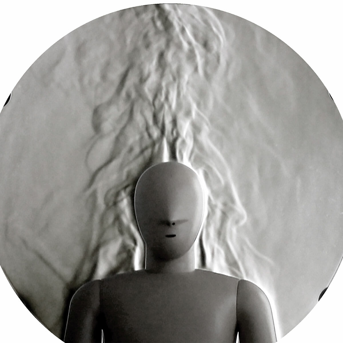 Kanomax and PT Teknik Thermal Manikin Visualizer